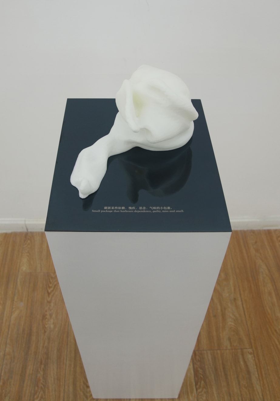 冯冰伊 Feng Bingyi, 时间切片博物馆 Time Slice Museum , 2016