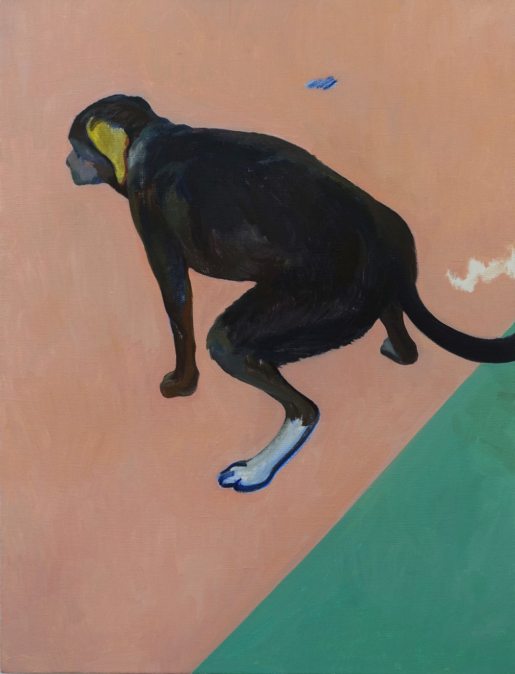 翟倞 Zhai Liang, 2018