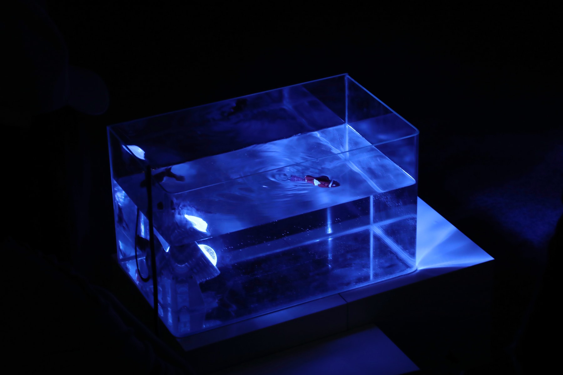 陈萧伊 Chen Xiaoyi, It is the mercy, 2017