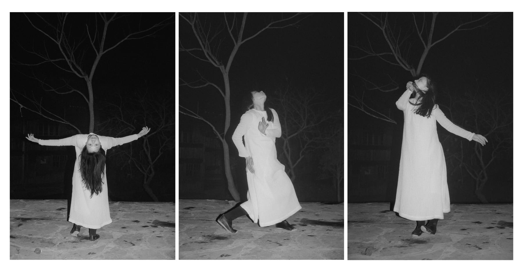 陈秋林 Chen Qiulin, 树 Being, 2014 - 2016