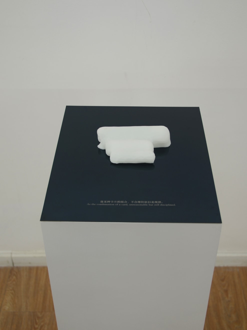冯冰伊 Feng Bingyi, 时间切片博物馆 Time Slice Museum , 2016