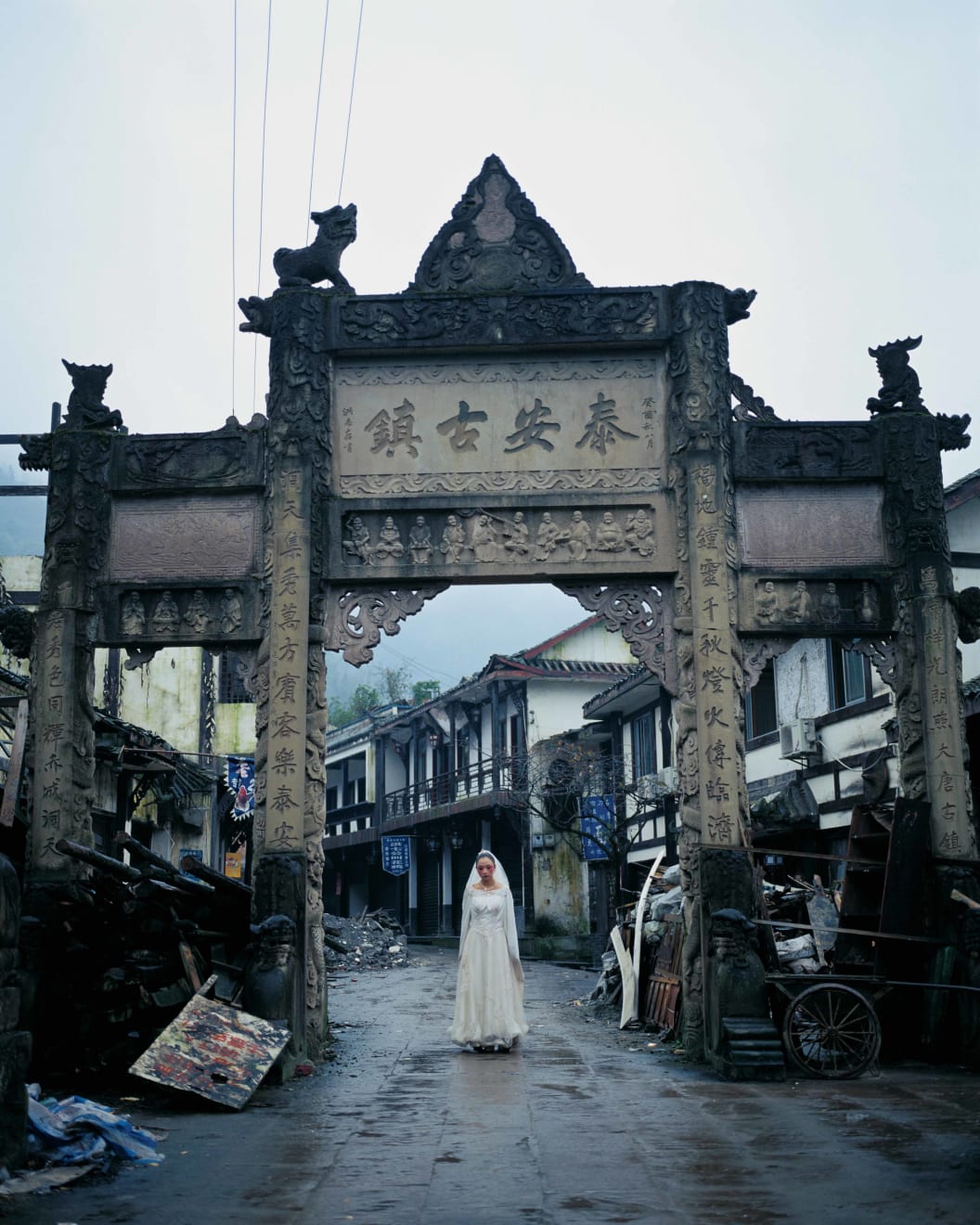 陈秋林 Chen Qiulin, 桃花 Peach Blossom, 2009