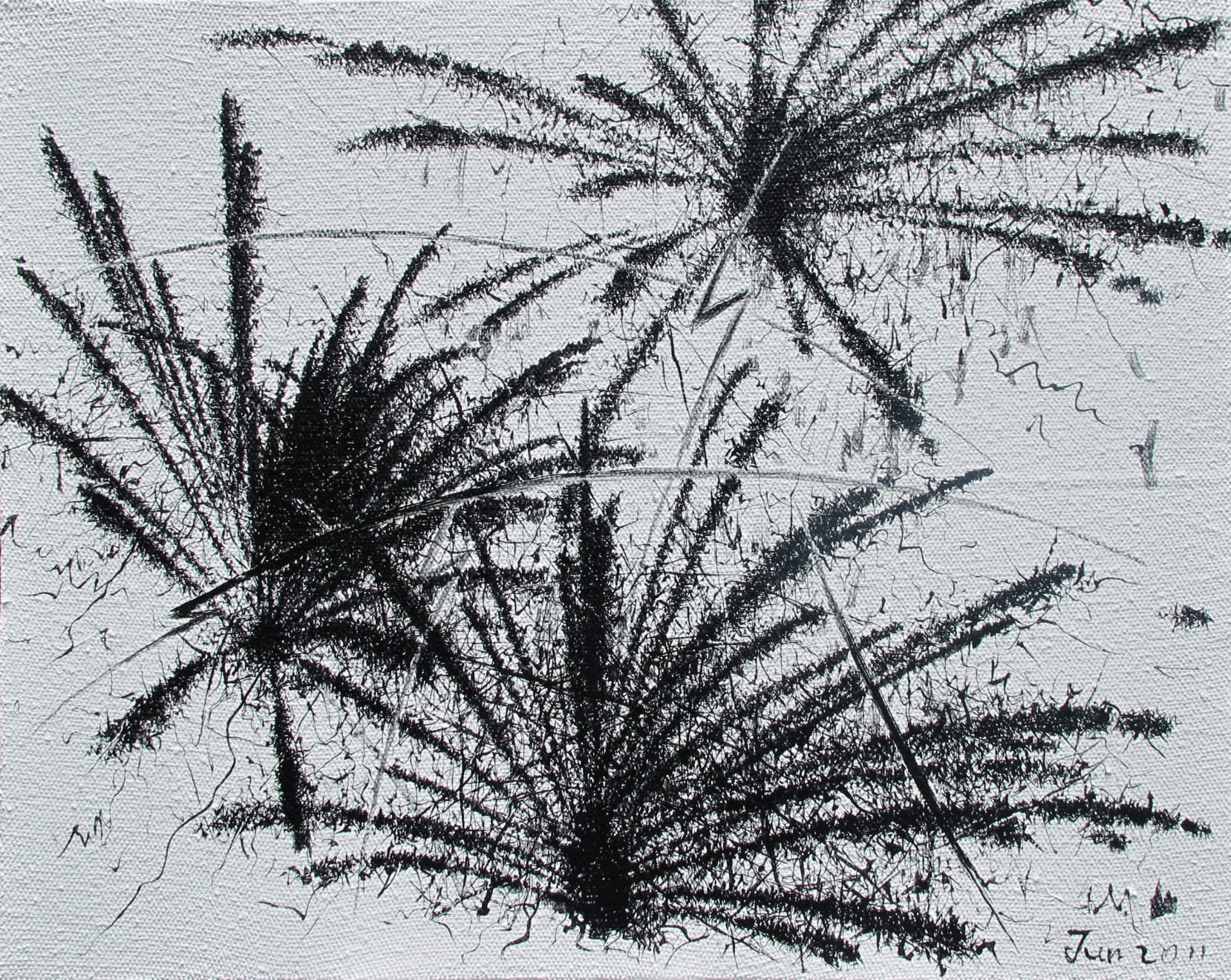 王俊 Wang Jun, 2011