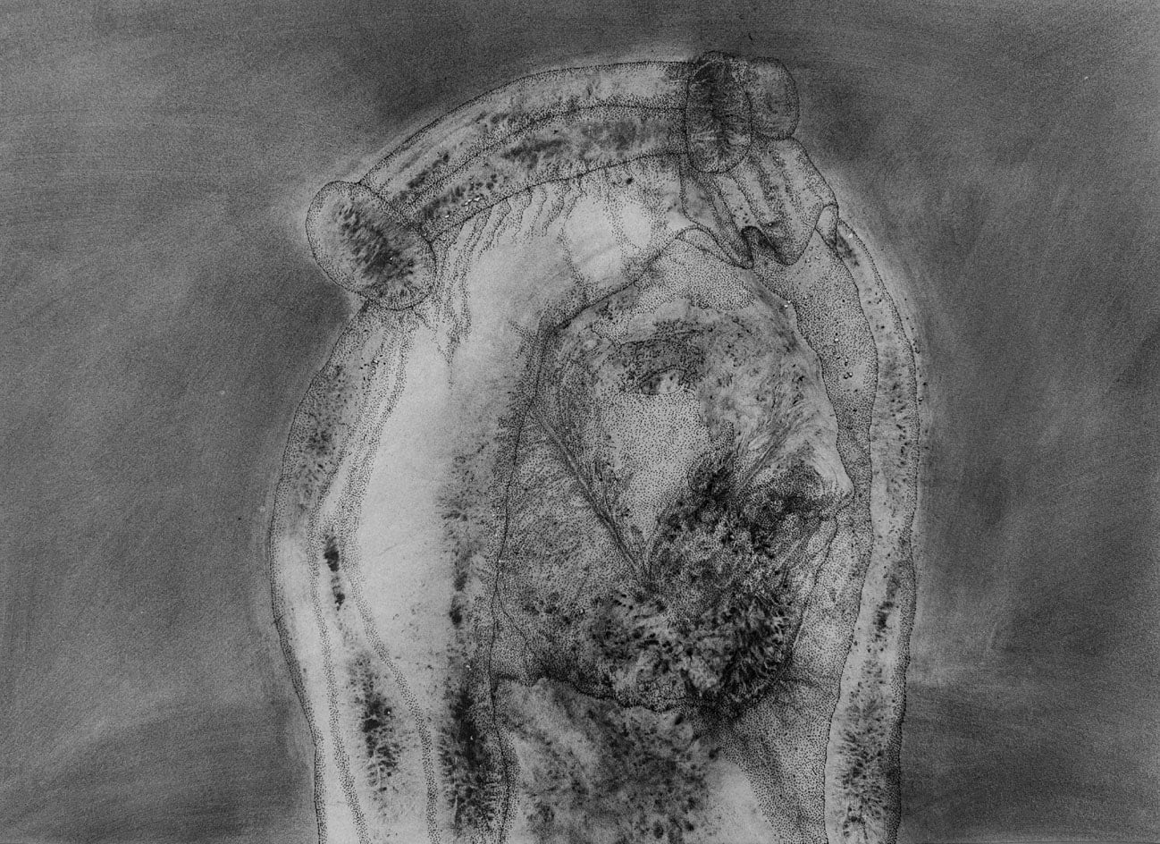 Faisal Samra, PSF 23, 2023