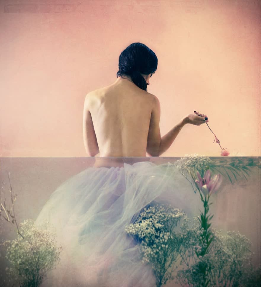 Lara Zankoul, Untitled, 2013