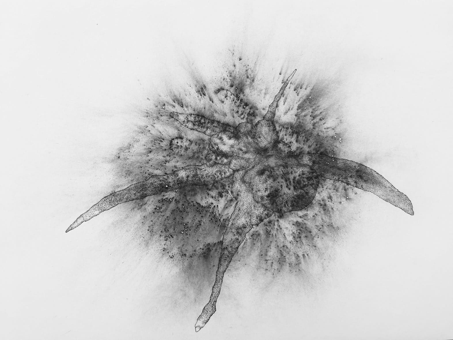 Faisal Samra, PSC-DS 6, 2022