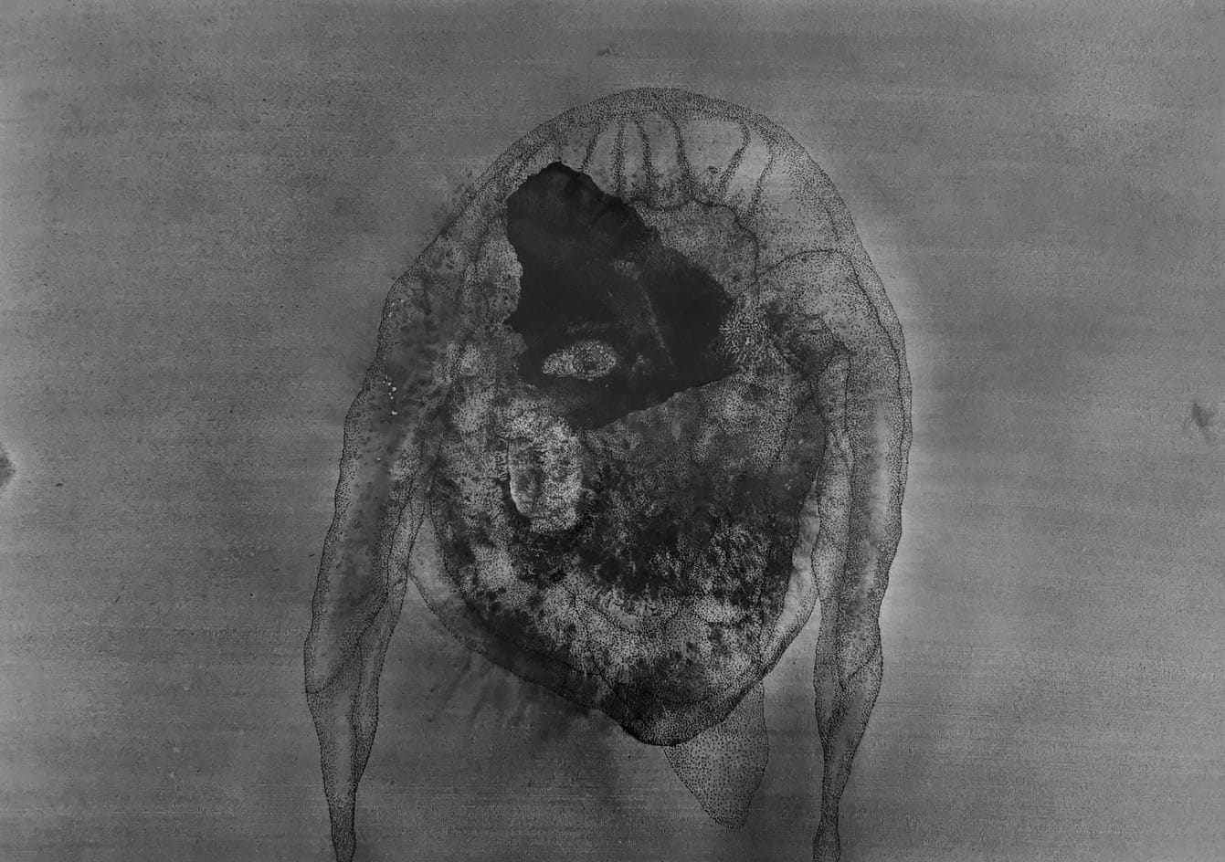 Faisal Samra, PSF 17, 2023