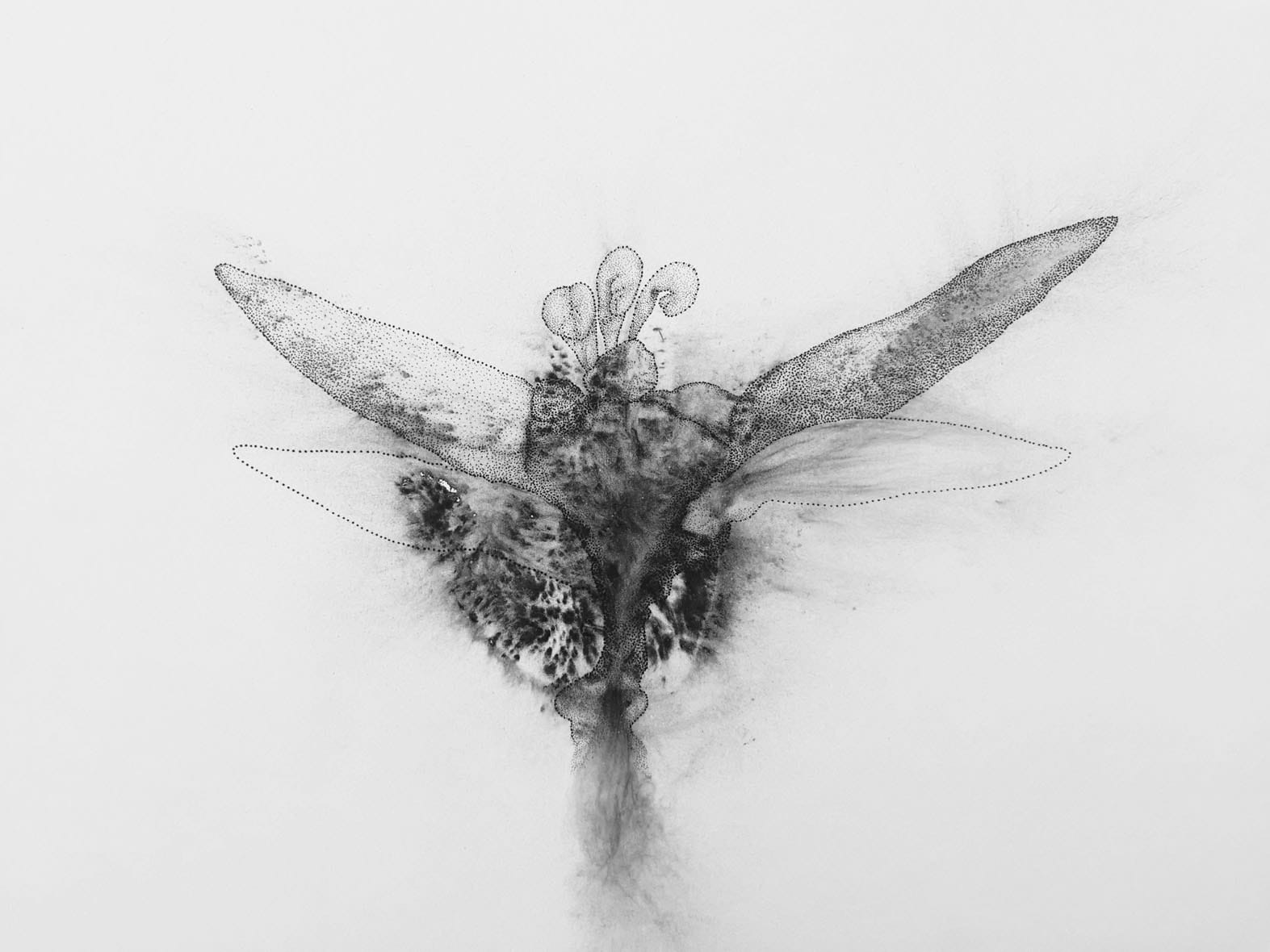 Faisal Samra, PSC-DS 10, 2022