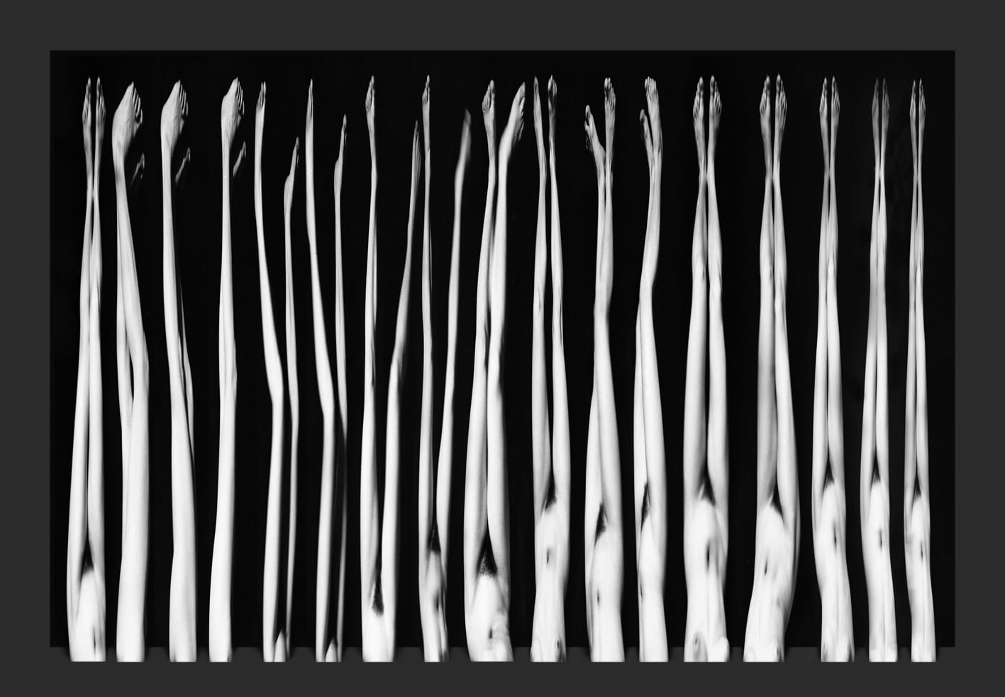 Nassouh Zaghlouleh, Dance Series - Germination, 2010