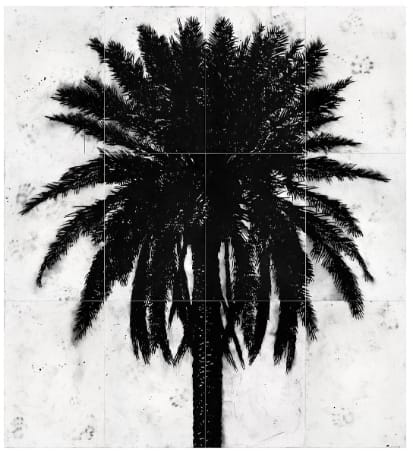 Sadik Kwaish Alfraji, Palm Tree in Square 55, 2022