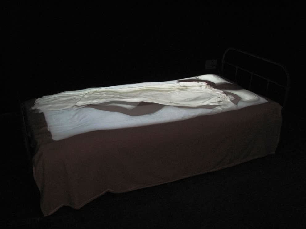 Faisal Samra, Surviving 2 , 2008