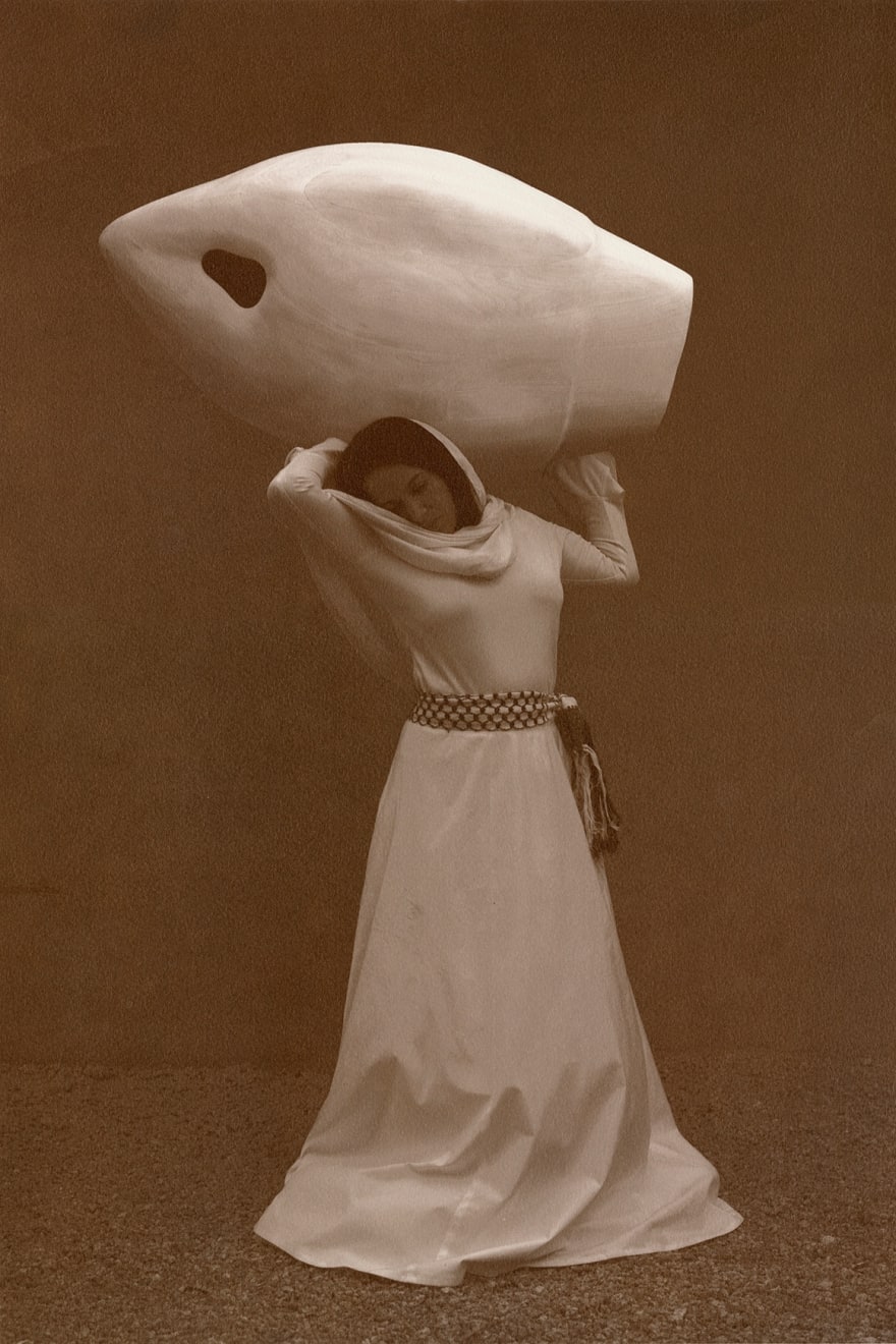 Sama Alshaibi, Hornest's Nest, 2019