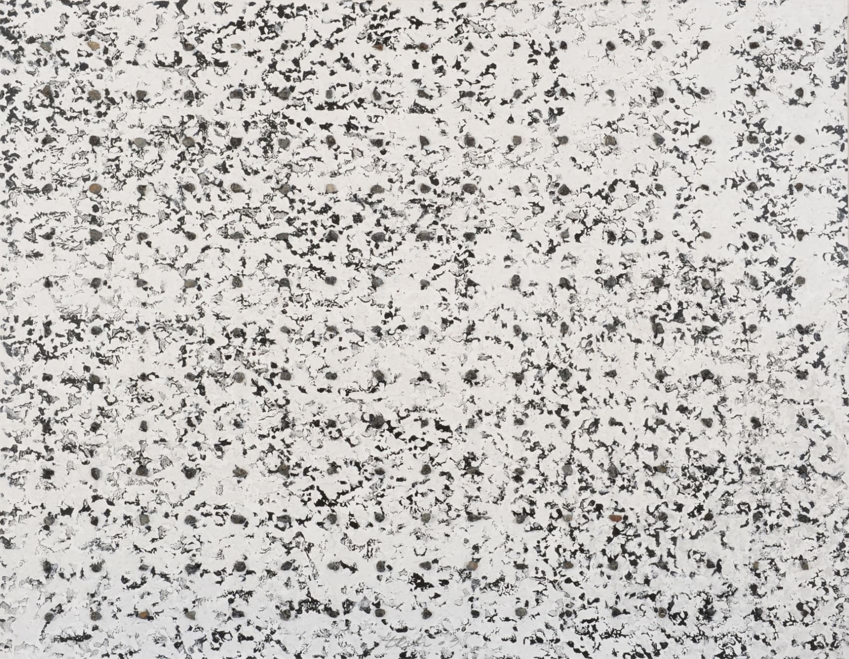 Thaier Helal, Untitled, 2009