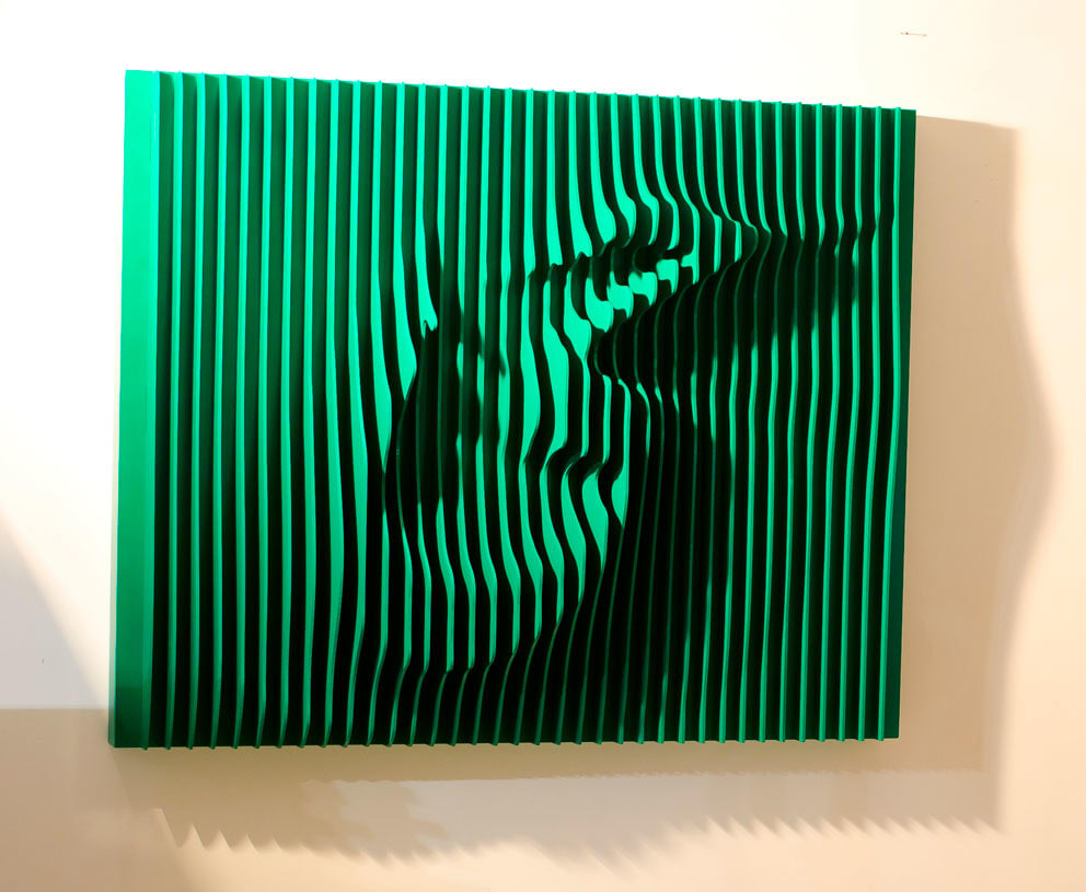Ramin Shirdel, Hay, 2013