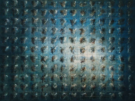 Thaier Helal, Untitled, 2005