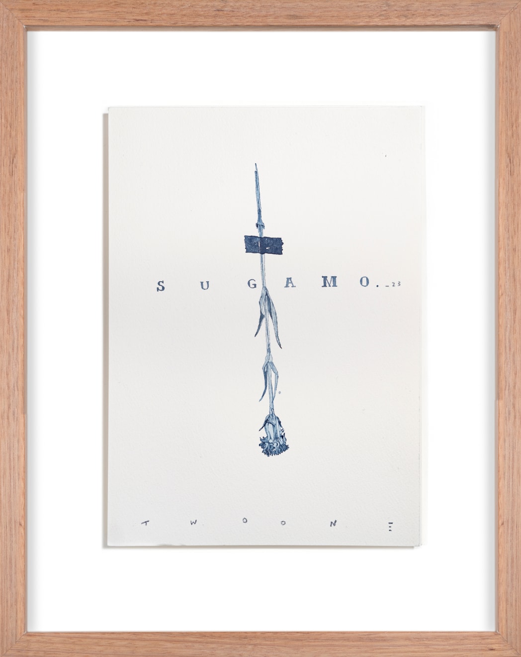 Hiroyasu Tsuri, Study of Wild Flowers Of Sugamo, 2023