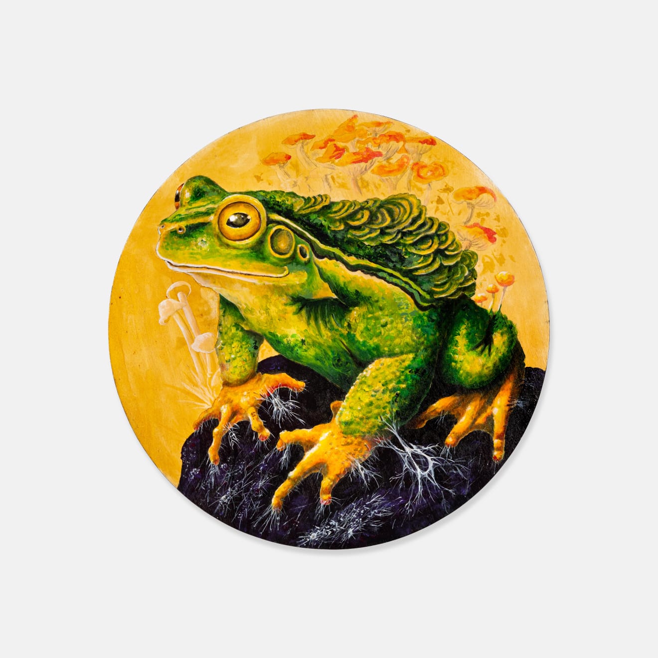 Mike Makatron, Bufrog, 2024