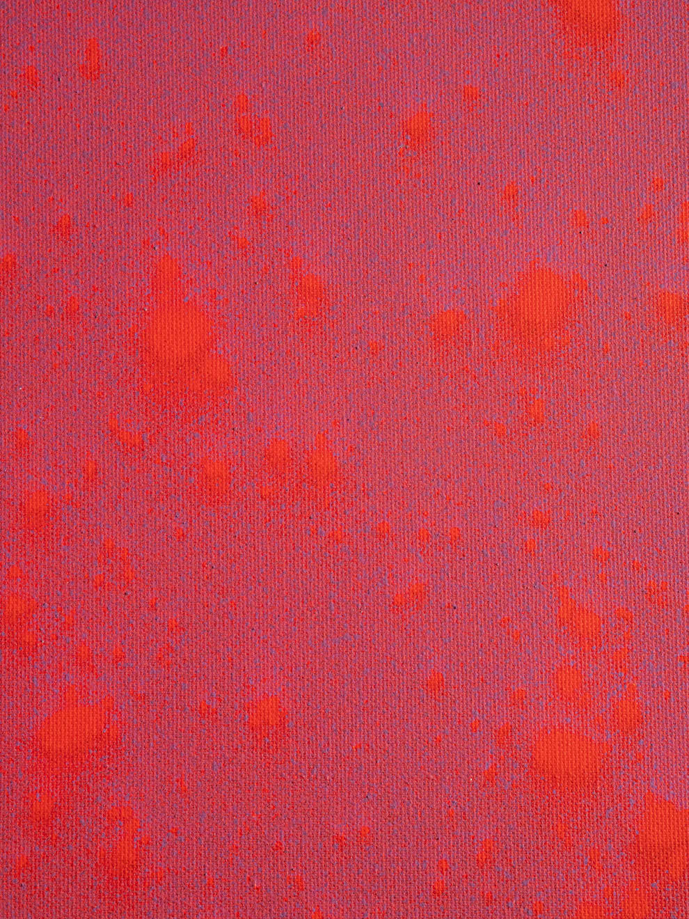 Daniel O'Toole, Terraform, 2025