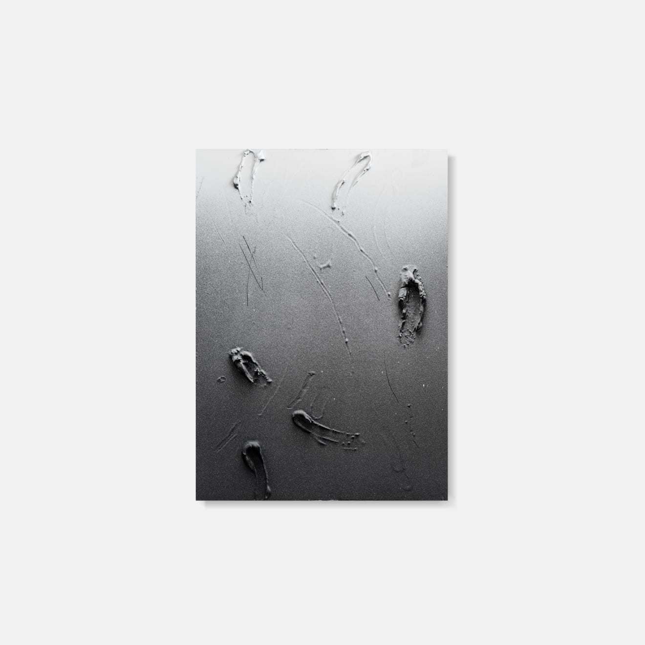 Baxter, Substance 2, 2024