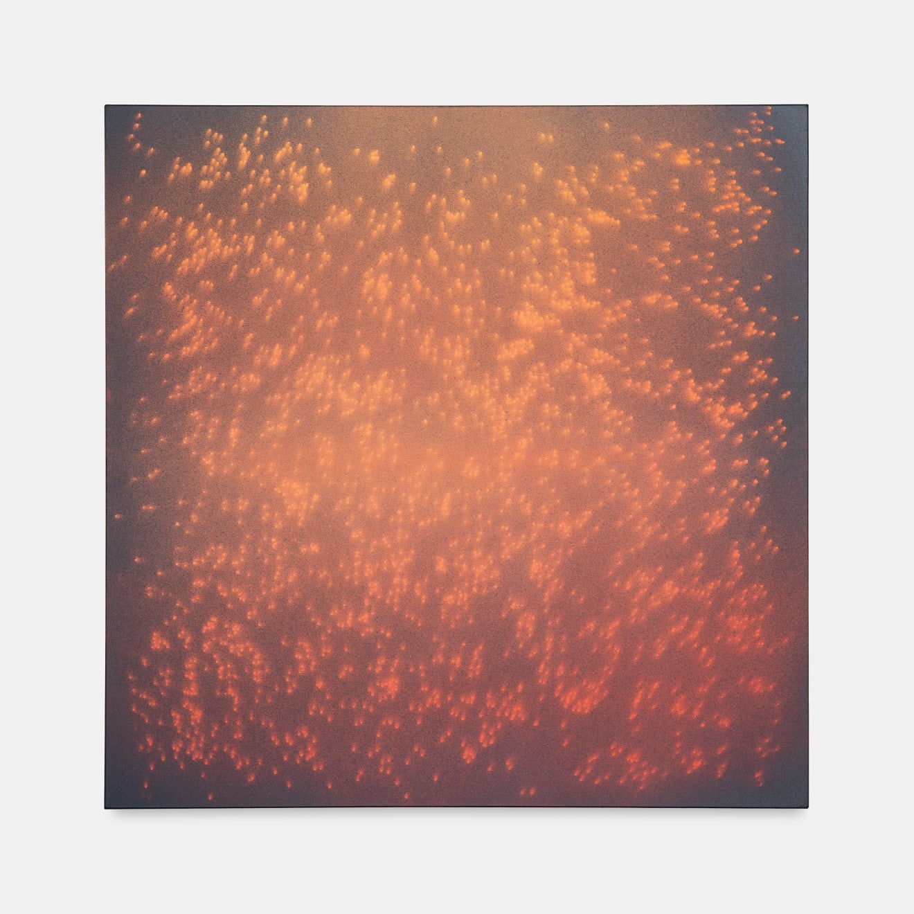 Daniel O'Toole, Embers, 2025