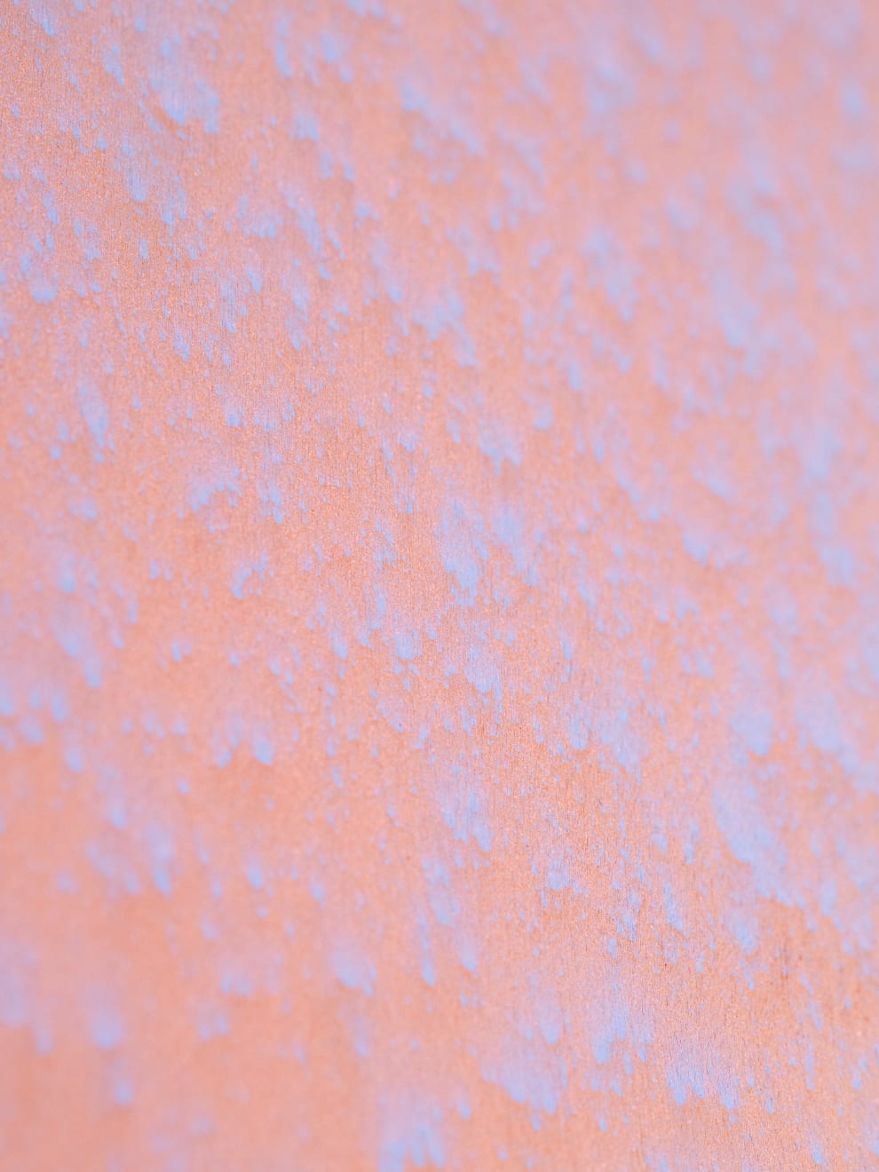 Daniel O'Toole, Cadence, 2025