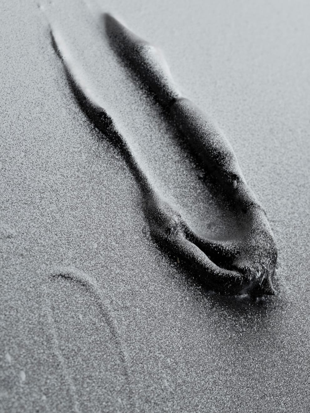 Baxter, Substance #02, 2024