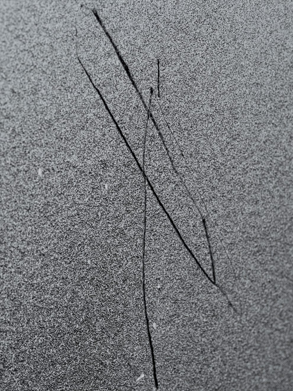 Baxter, Substance #02, 2024