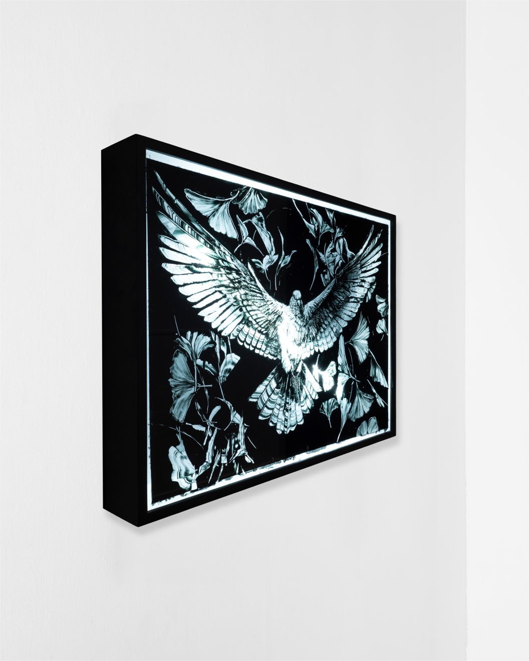 Hiroyasu Tsuri, Dove (Symbol Bird of Nagasaki), 2025