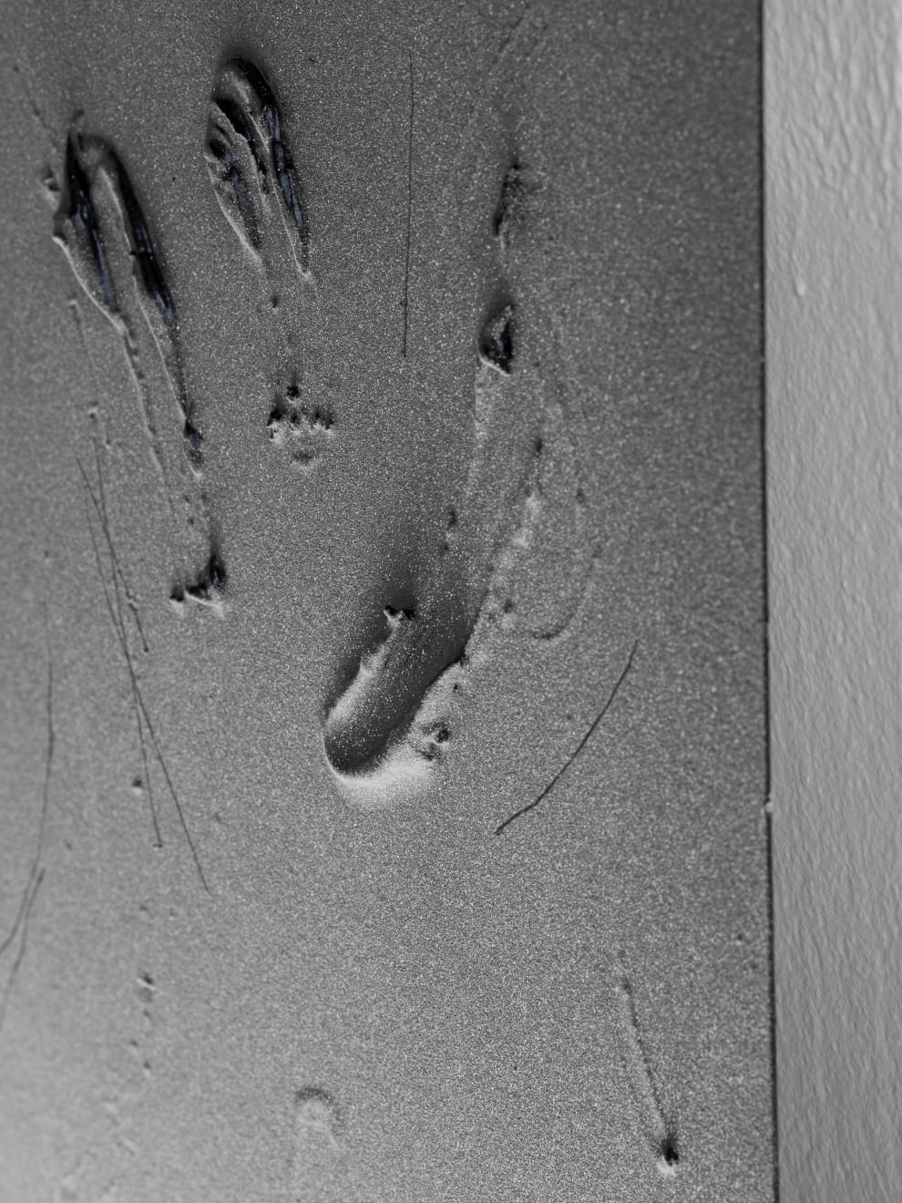 Baxter, Substance #01, 2024