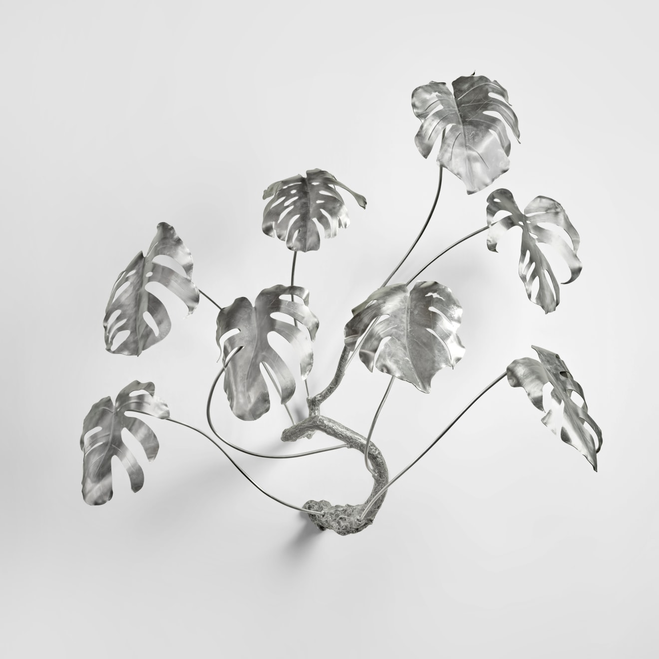 Mike Makatron, Hanging Monstera, 2024