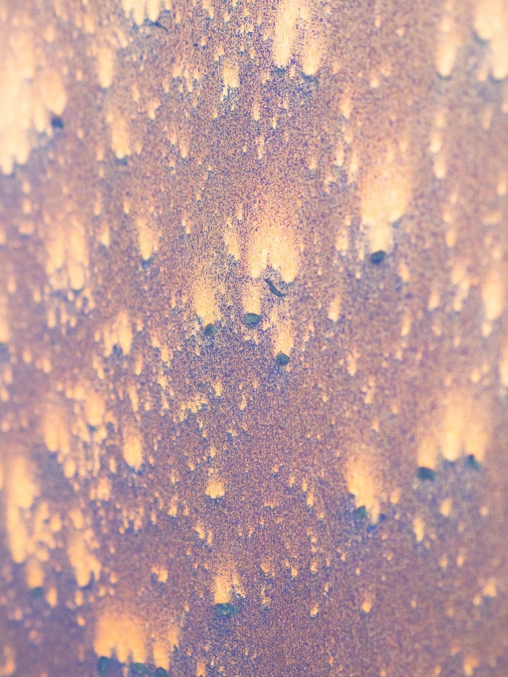 Daniel O'Toole, Quadraphonic, 2025