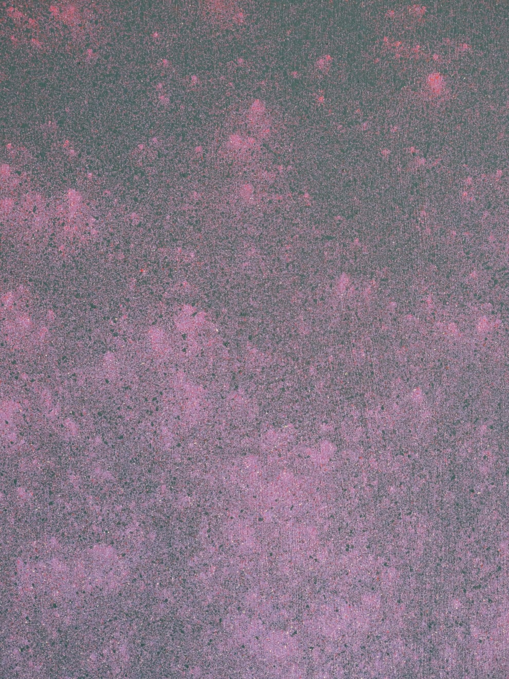 Daniel O'Toole, Sine Language #Study, 2025