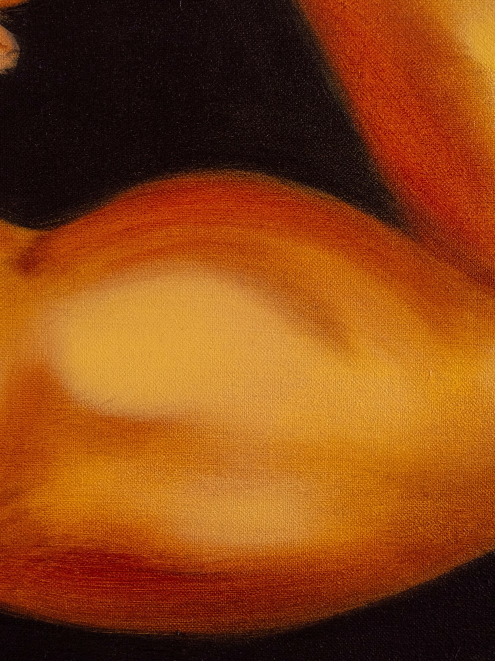 Heath Nock, Mirror Muscles, 2025