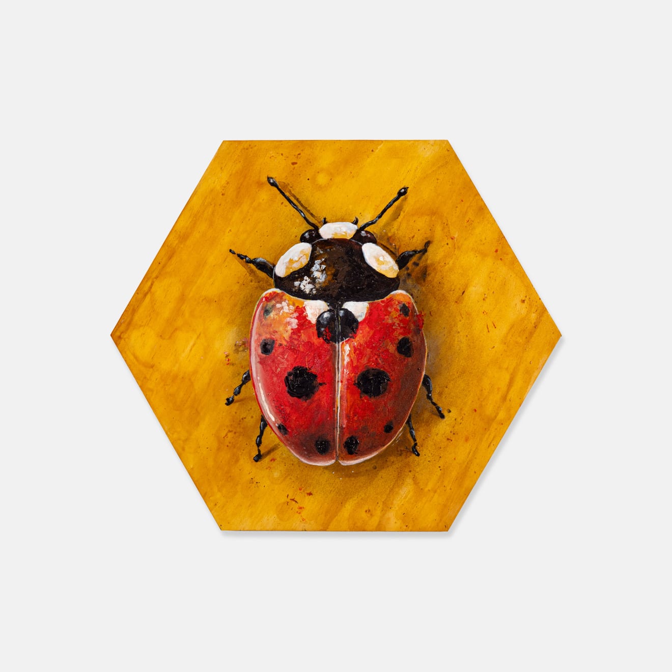 Mike Makatron, Lady Bug, 2024