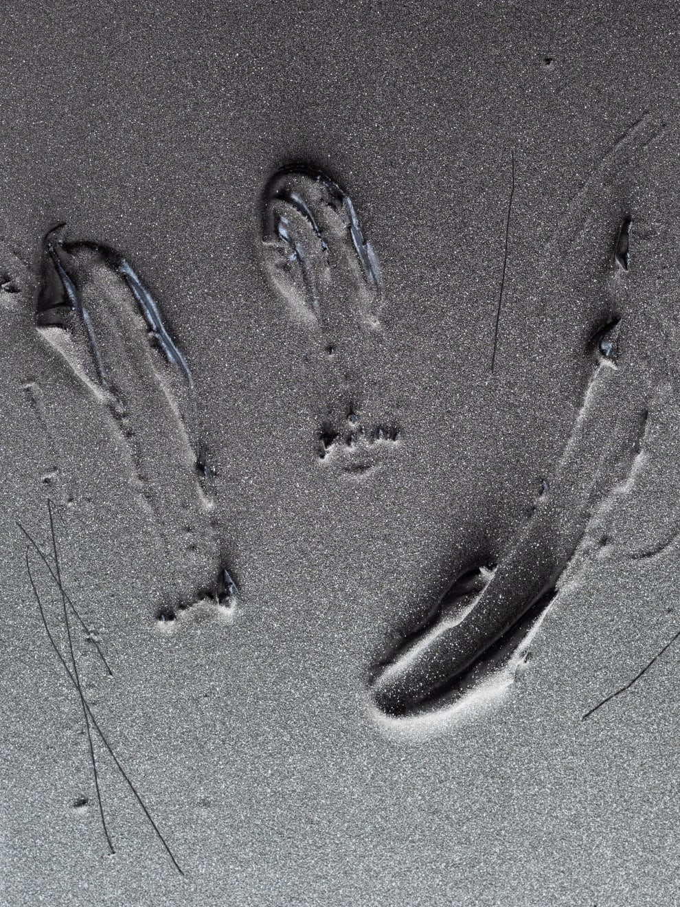 Baxter, Substance #01, 2024