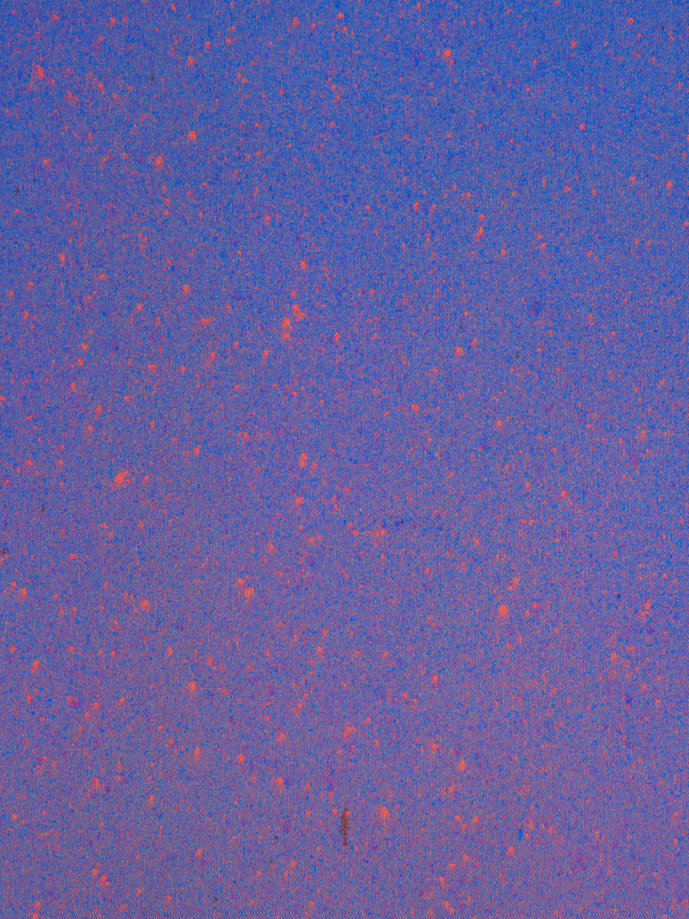 Daniel O'Toole, Hybrid, 2025