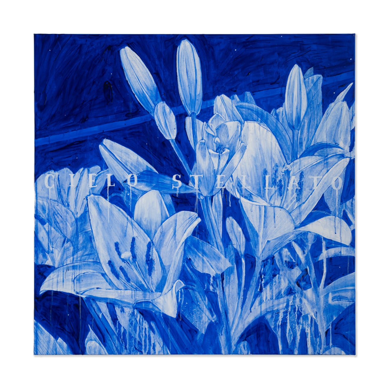 Hiroyasu Tsuri, Cielo Stellato (Starry Night), 2023