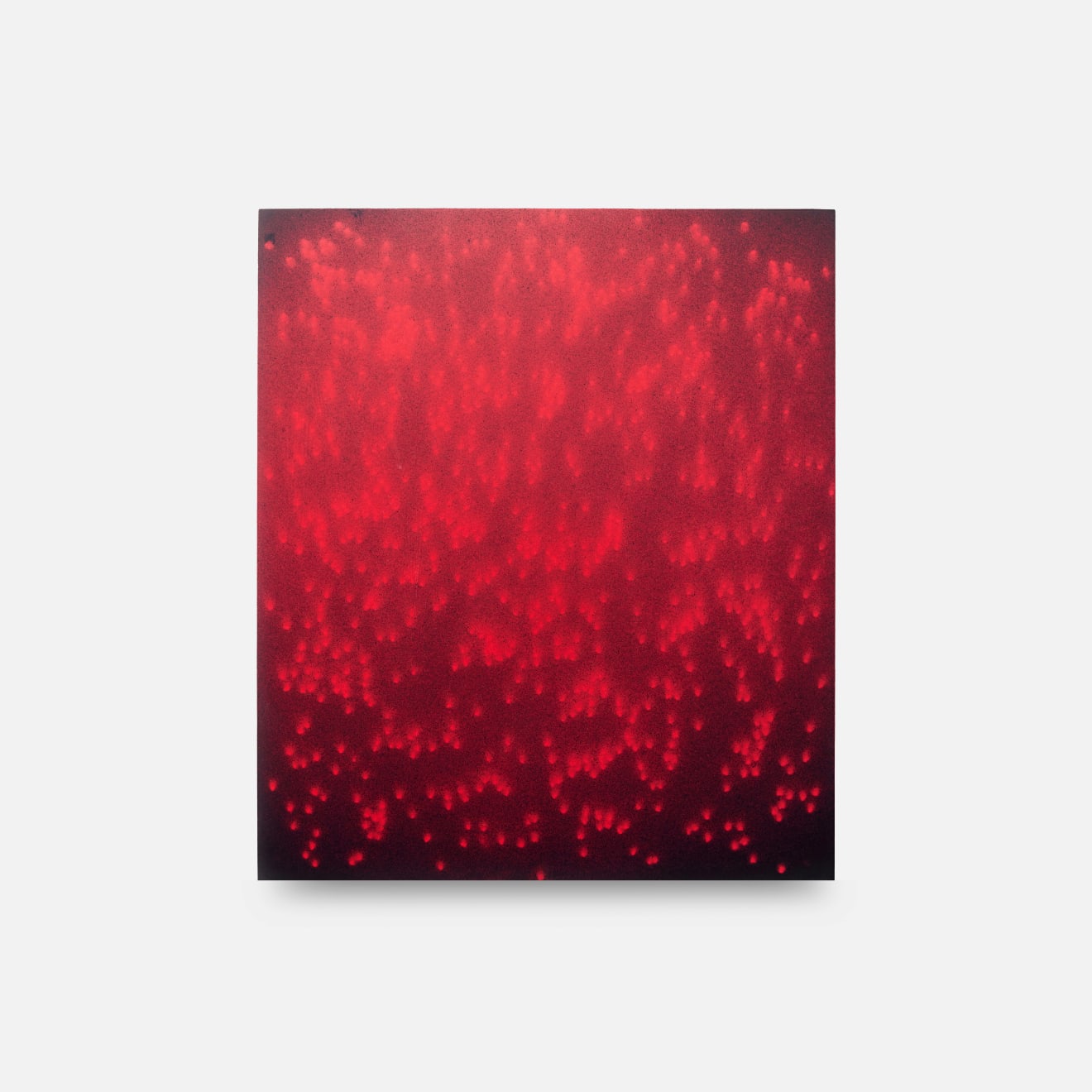 Daniel O'Toole, Film Burn, 2025