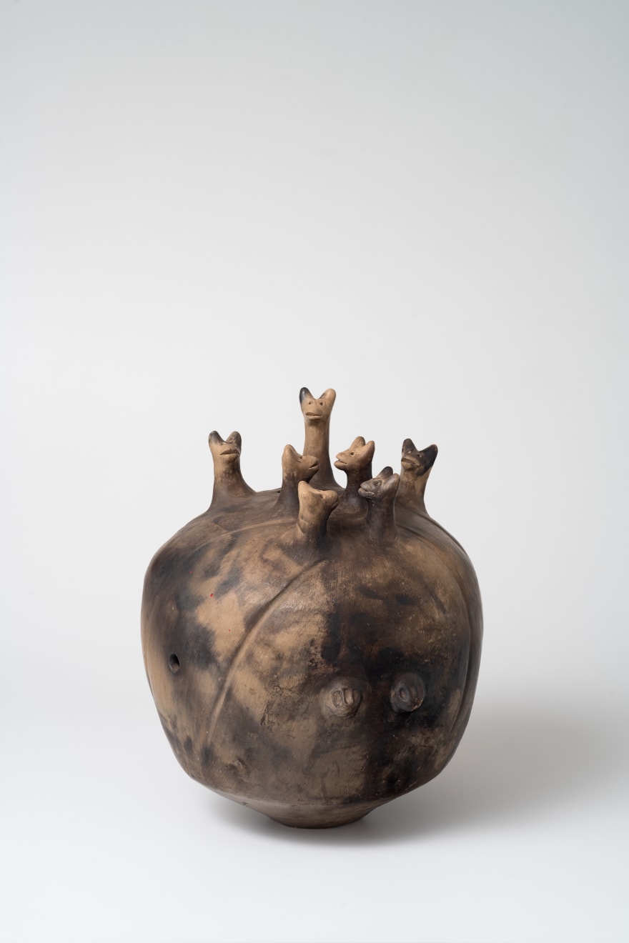 Julia Isidrez, Pelota siete cabezas Mboiyagua, 1998