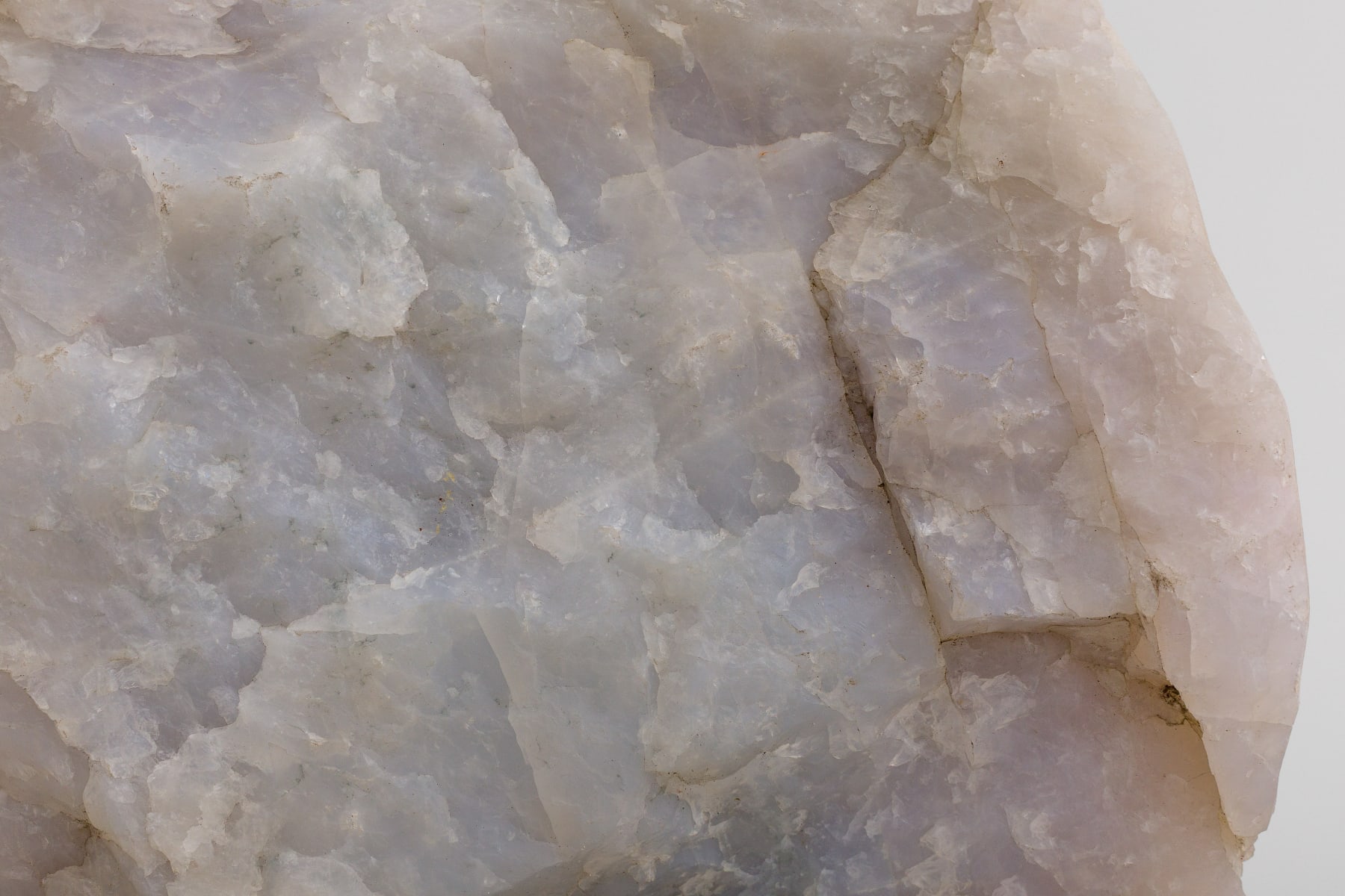 Amelia Toledo, Impulso (da série Impulsos) [Impulse (from the Impulses series)], 2010