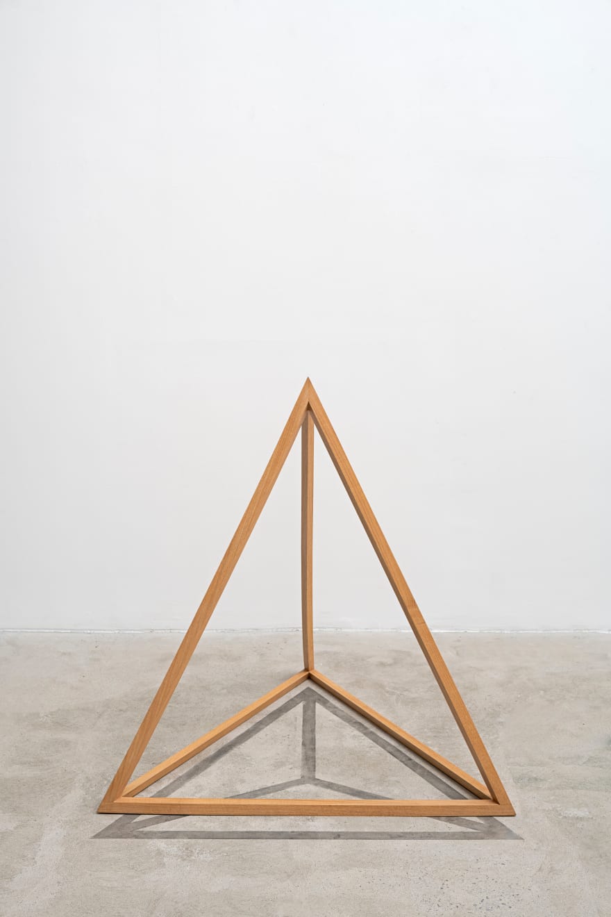 Cildo Meireles, Volumes virtuais [Virtual Volumes], 1968-1969/2015