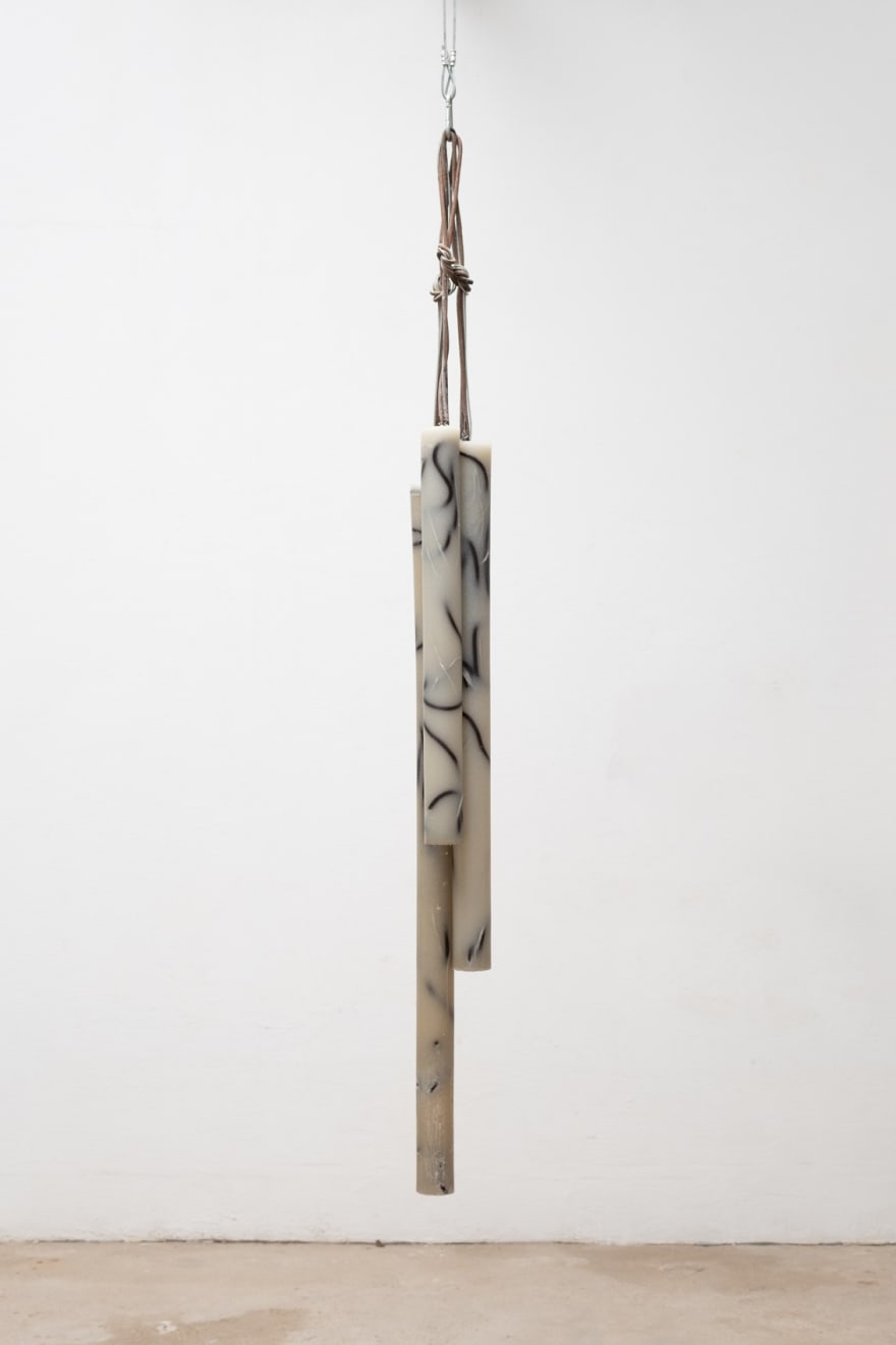 José Resende, Sem título / Untitled, 2010