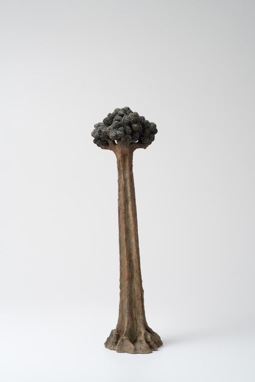 Megumi Yuasa, Árvore [Tree], 1980