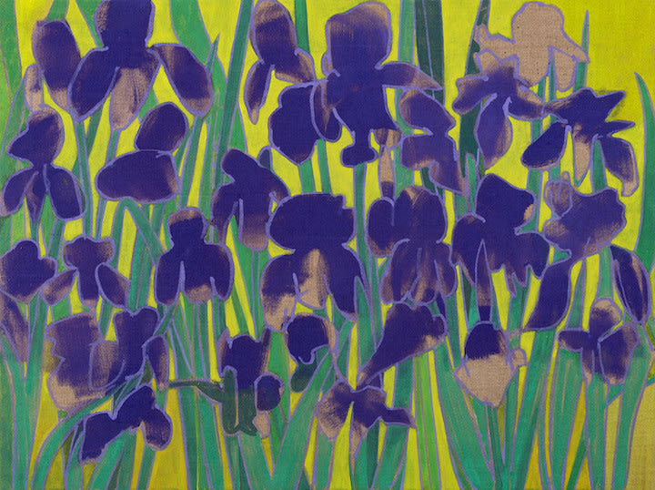 Eric Dever, Irises II, Villa Francesco, 2024