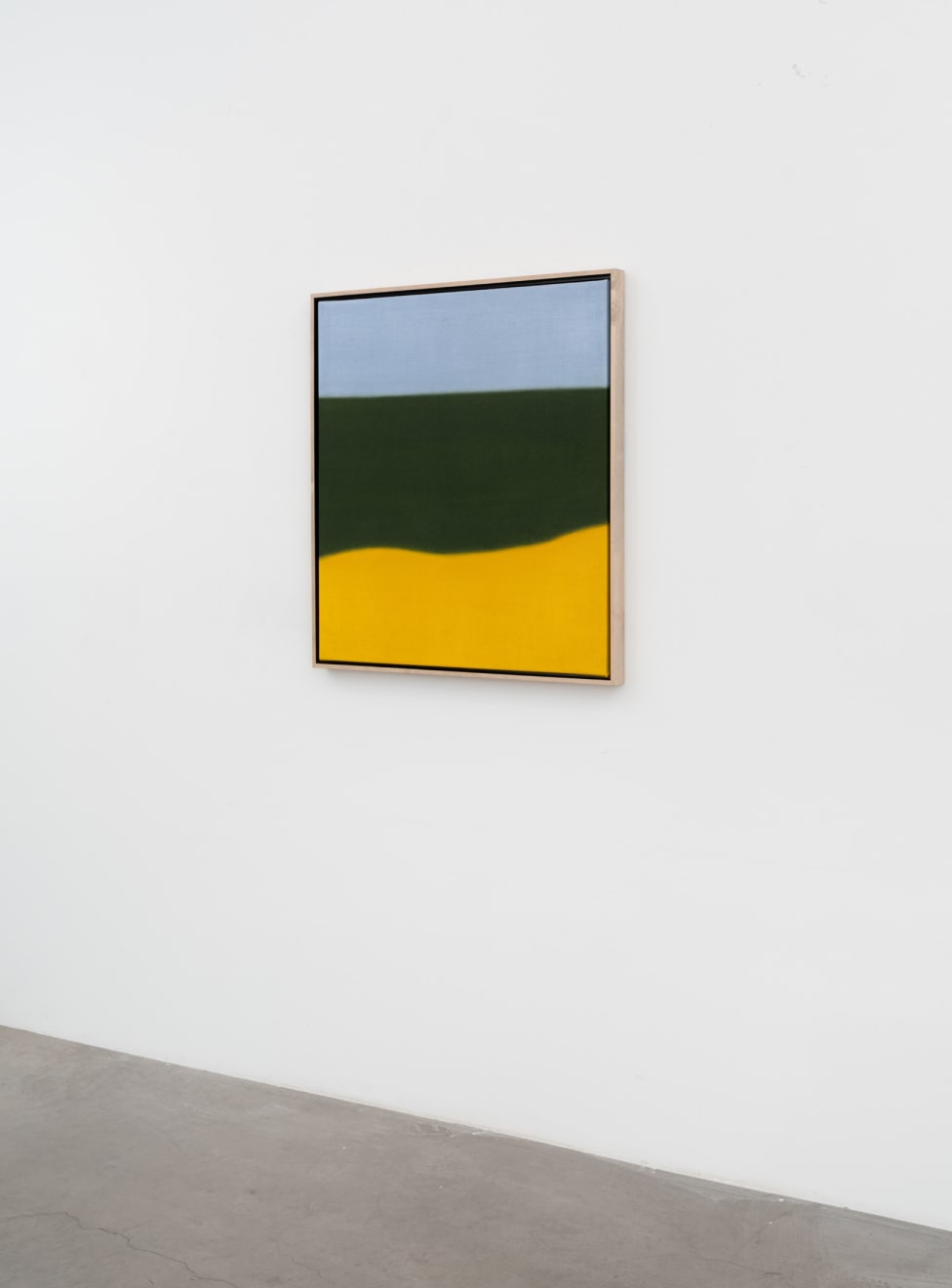 Susan Vecsey, Untitled (Sunflower), 2025