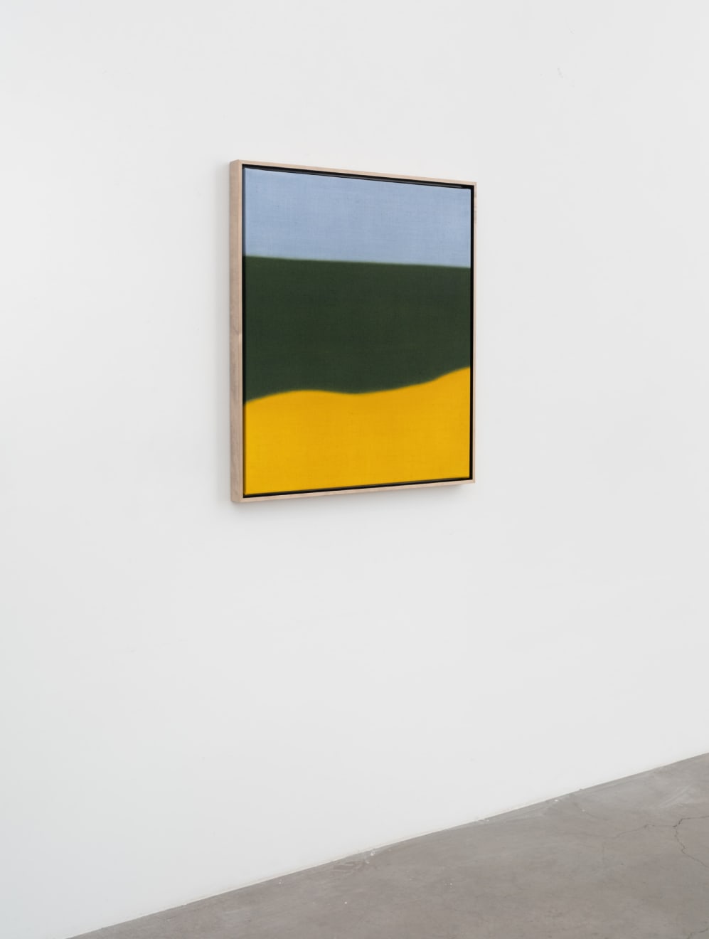 Susan Vecsey, Untitled (Sunflower), 2025