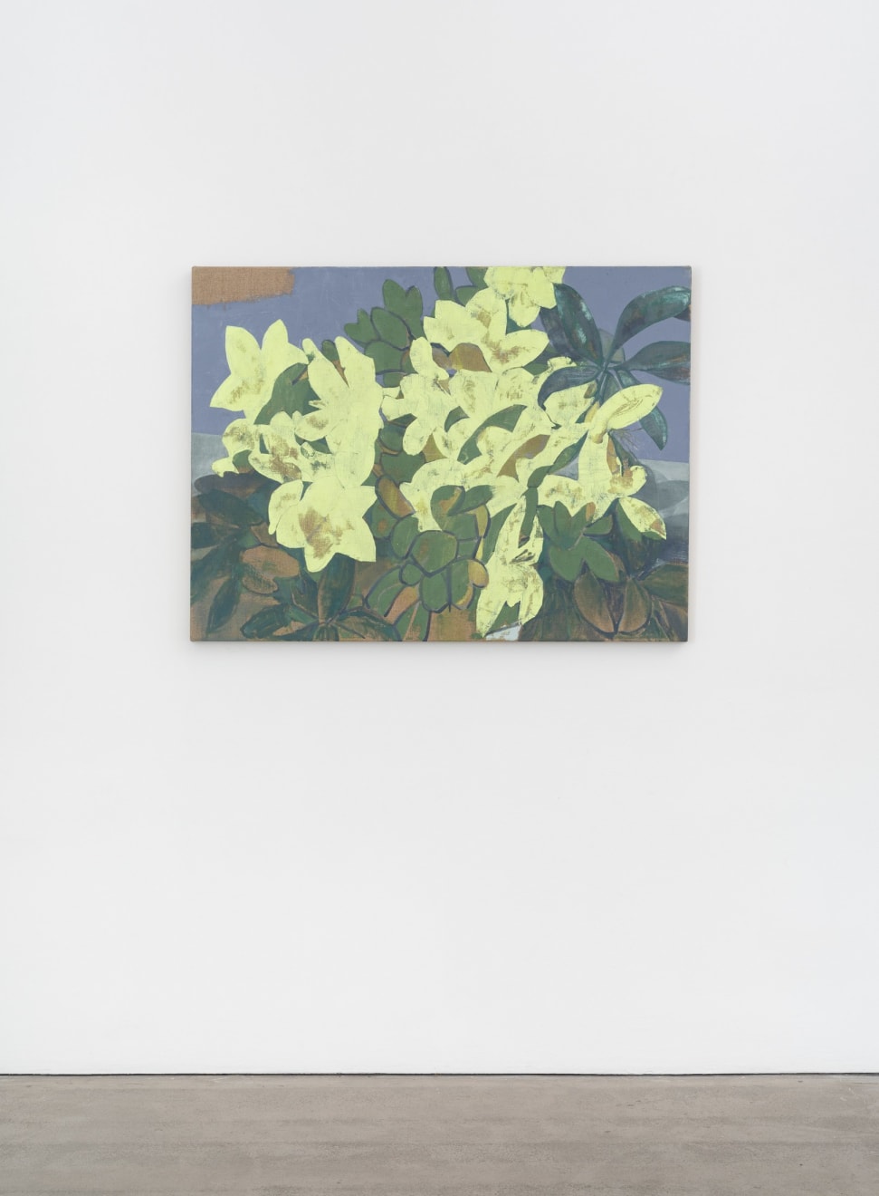 Eric Dever, Hellebores, Villa Francesco, 2022