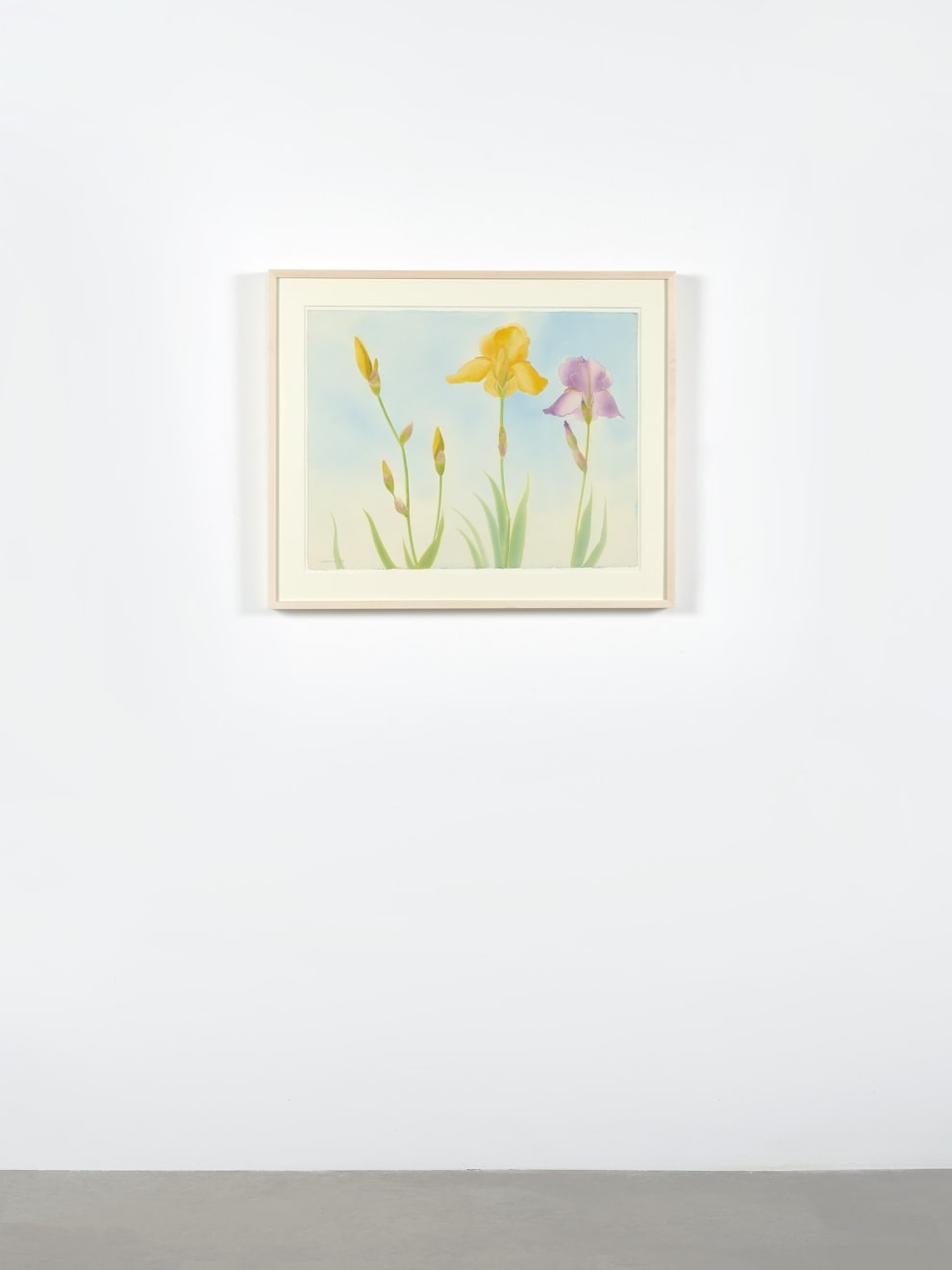 Elizabeth Osborne, Iris, 1988
