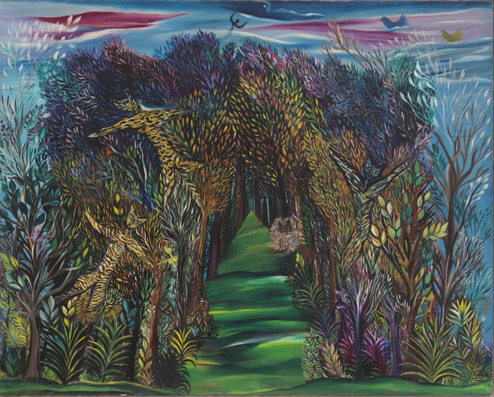Lucia Wilcox, Untitled (Jungle), 1944
