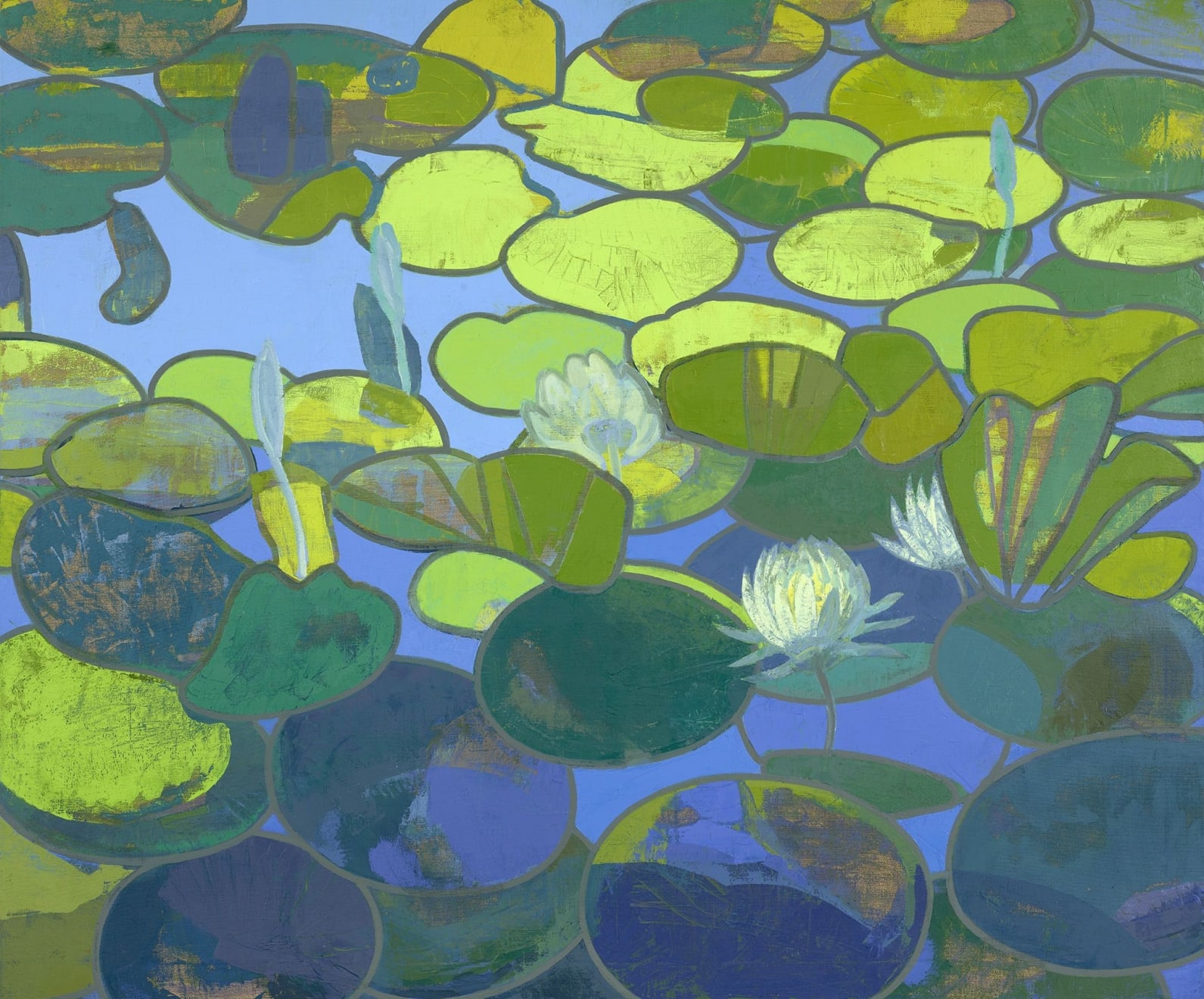 Eric Dever, Nymphaea odorata, 2023